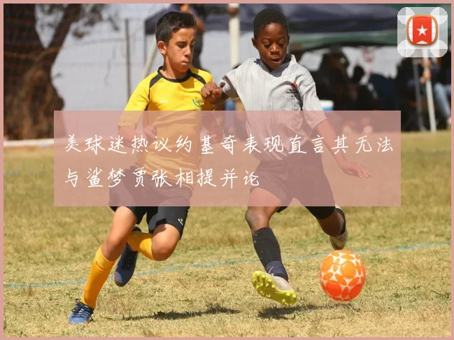 美球迷热议约基奇表现直言其无法与鲨梦贾张相提并论