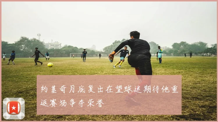 约基奇月底复出在望球迷期待他重返赛场争夺荣誉