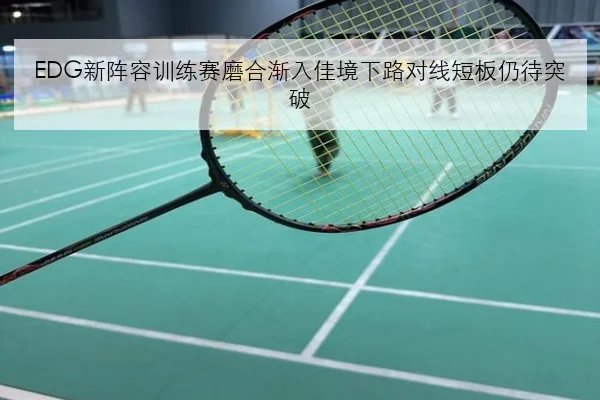 EDG新阵容训练赛磨合渐入佳境下路对线短板仍待突破
